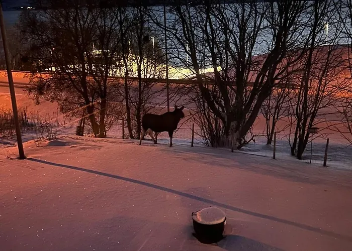 Mikkelsby House By Altafjord Prázdninový dům *